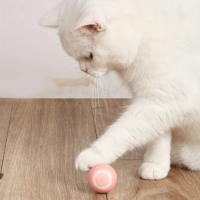 Cheerble Smart Cat Ball